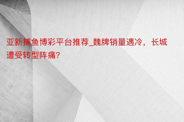 亚新捕鱼博彩平台推荐_魏牌销量遇冷，长城遭受转型阵痛？